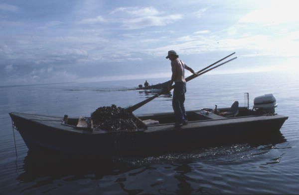 Florida Sues Georgia Over Apalachicola Bay