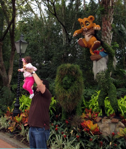 wdw epcot flower DOUBLE HEADER lion king