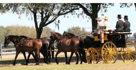 floridatraveler Carriage Museum