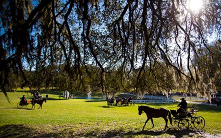 The Grand Oaks Resort & Museum in Weirsdale, Fla., is known as "America's Equestrian Resort" complete with equine accommodations, equine events, RV and cottage lodging, an equine museum, gift shop and bistro.