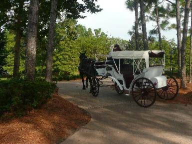 floridatraveler port orleans-carriage-rides