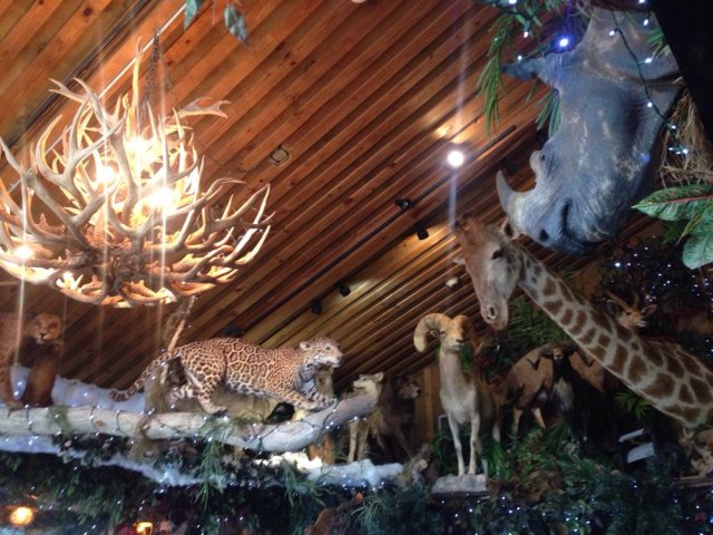 FLORIDATRAVELER Jacks Fish Camp