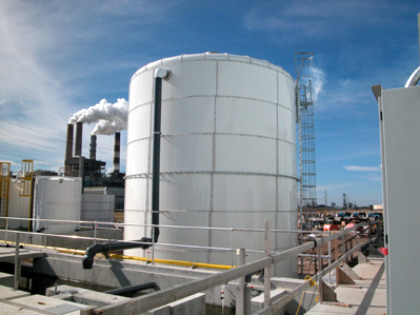 FLORIDATRAVELER -tampa-plant