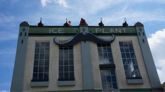 FLORIDATRAVELER the ice plant