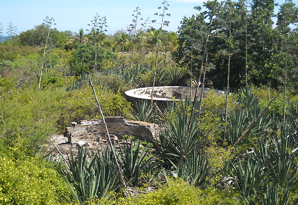 floridatravelerIndian-Key-ruins