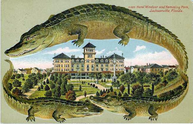 FLORIDATRAVELER alligator frame postcard