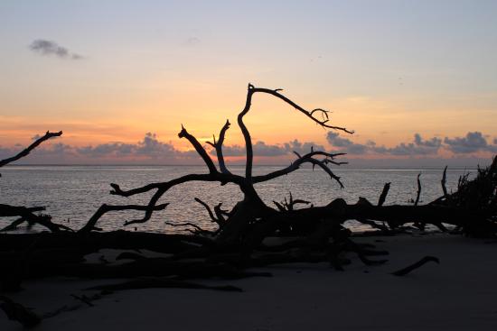 FLORIDATRAVELER big-talbot-island-state