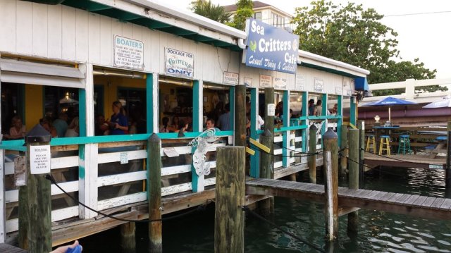 FLORIDATRAVELER seacritters on intracoastal