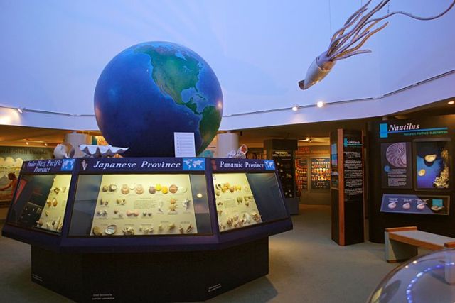 floridatraveler-shell-museum