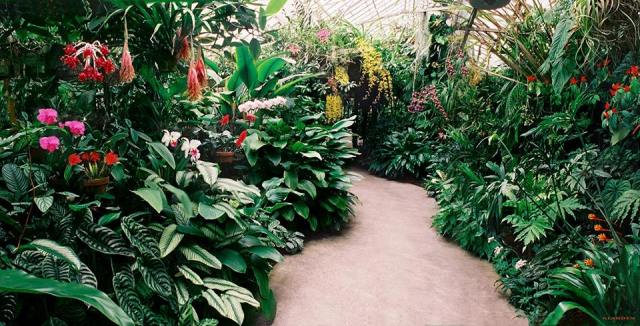 floridatraveler-marie_selby_gardens