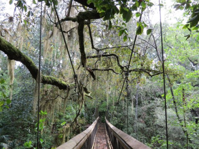 floridatraveler-ravine-gardens-state-park