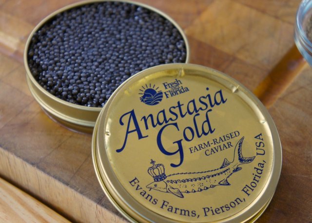floridatraveler CAVIAR