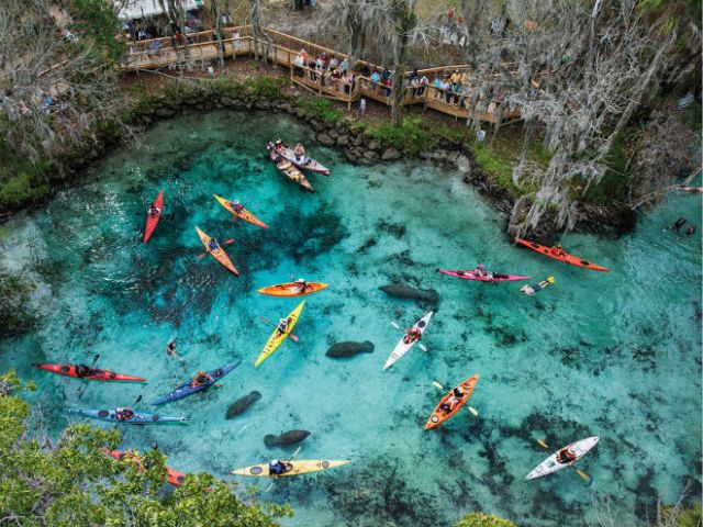 FLORIDATRAVELER kayak Blue-Springs
