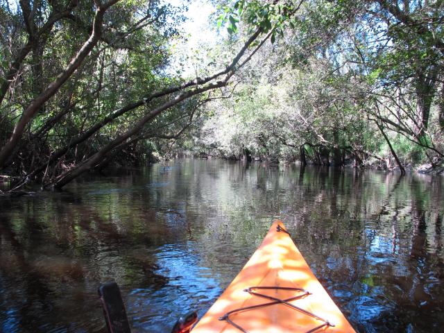 floridatraveler kayak LITTLE MANATEE