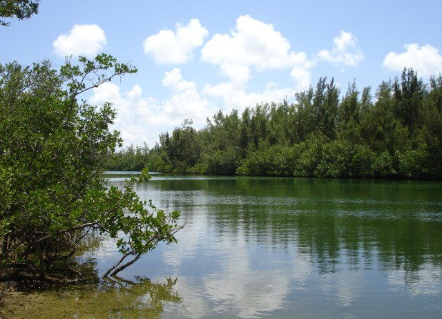 floridatraveler kayak oleta-river