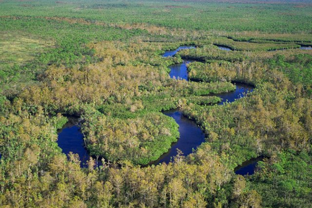 floridatraveler LOXAHATCHEE RIVER