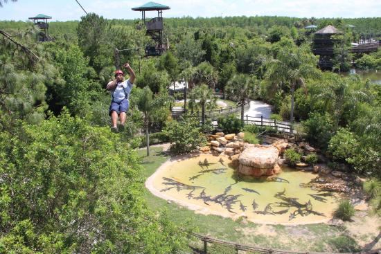 FLORIDATRAVELER GATORLAND zipline-over-the-alligators