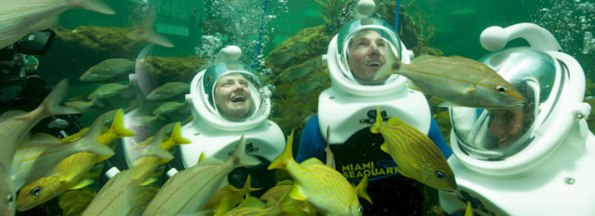 FLORIDATRAVELER -sea-trek