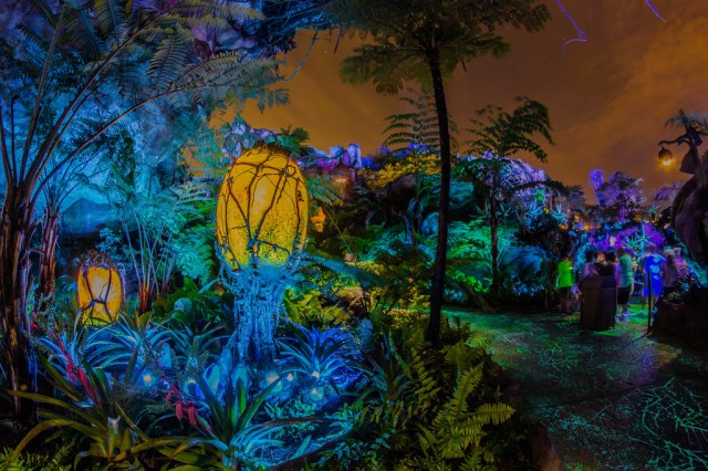 floridatraveler pandora river ride