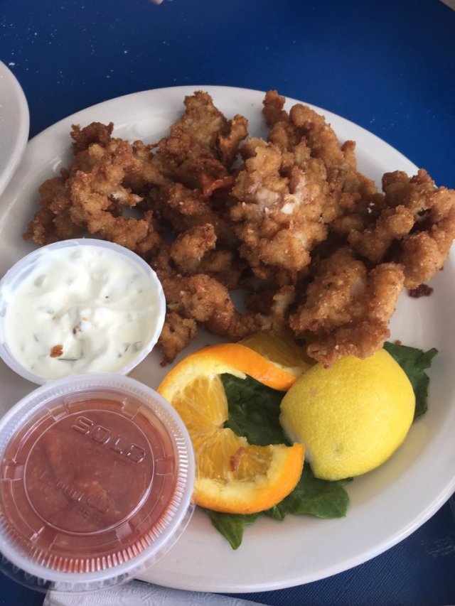 floridatraveler CRACKED CONCH from marathon