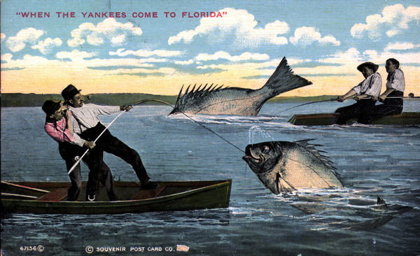 floridatraveler FUN POSTCARD fishing 1912COMEDY