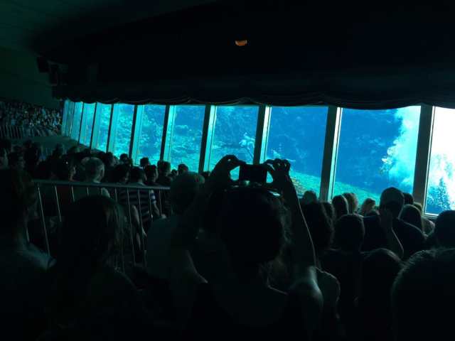 floridatraveler mermaid show