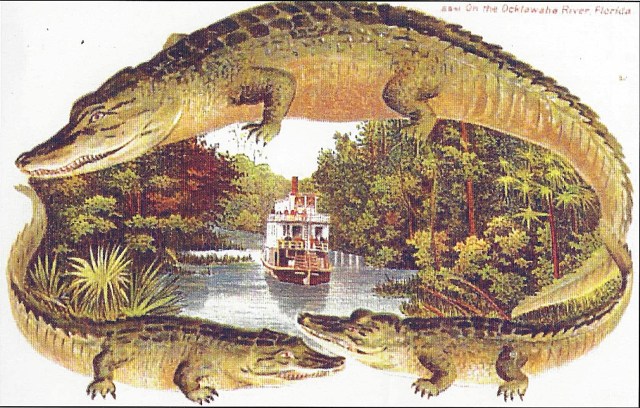 FLORIDATRAVELER astatula on Ocklawaha to Silver River