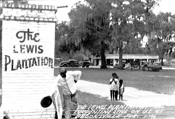 FLORIDATRAVELER the lewis plantation postcard