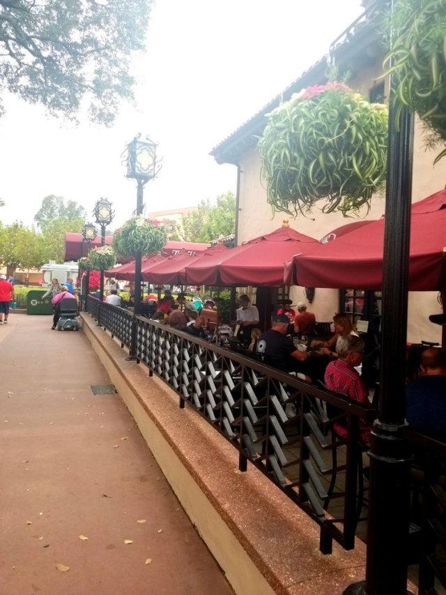 floridatraveler HOLLYWOOD BROWN DERBY