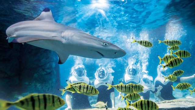 FLORIDATRAVELER SeaVenture people and residents