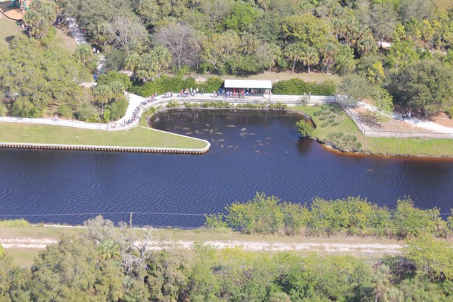 floridatraveler manatee pk fort myers