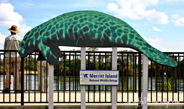 floridatraveler manatee view fort pierce stand