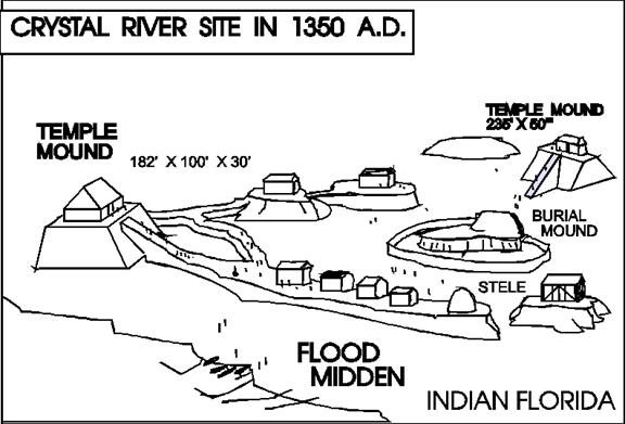 FLORIDATRAVELER crystal river site by leonard