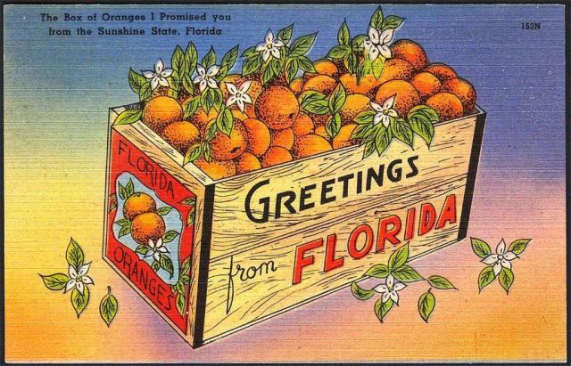 FLORIDATRAVELER food box-of-oranges-postcard